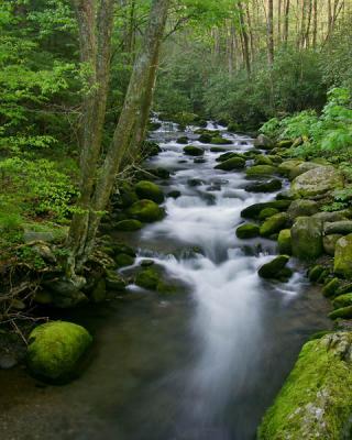 Roaring Fork1w.jpg