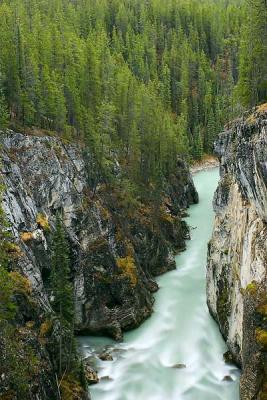 Jasper-Up the trail from Sunwapta Falls 2w.jpg