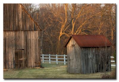 DSC_7221s950.jpg
