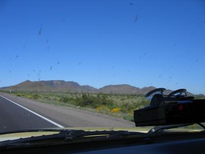 IMG_0340.JPG
