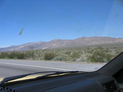 IMG_0342.JPG