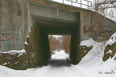 Winter_img_1012_1c.jpg