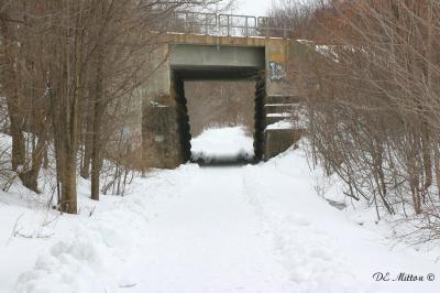 Winter_img_1018_3c.jpg