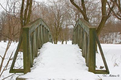 Winter_img_1024_2c.jpg