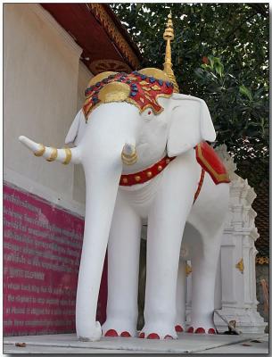 Ceremonial elephant