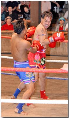 Thai Martial Arts - Muay Thai kick boxing