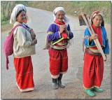 Hilltribe Ladies - returning from the field