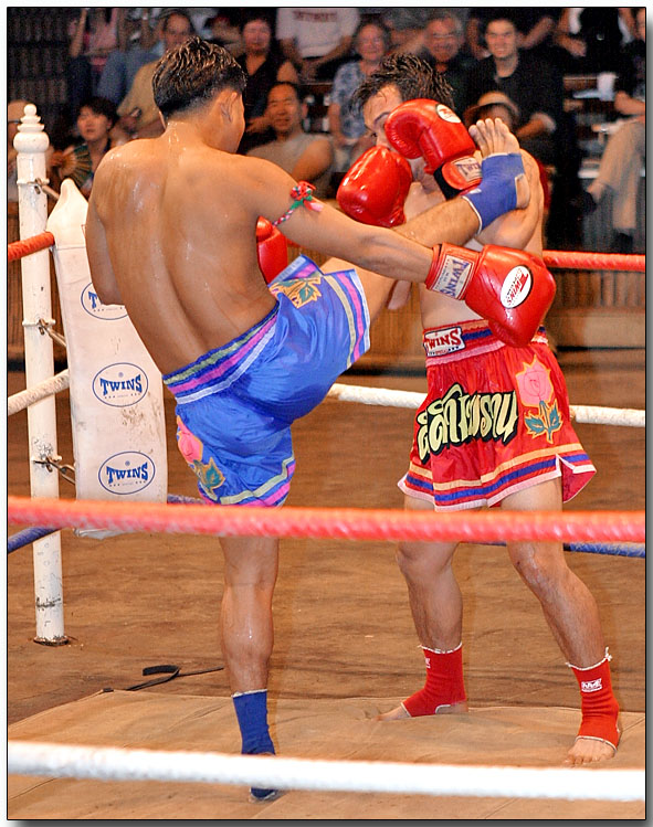 Thai Martial Arts - Muay Thai kick boxing