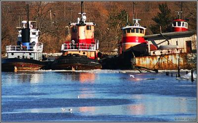 Wilmington Tugs.jpg