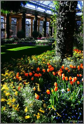 Longwood Indoor Spring 103 pc.jpg