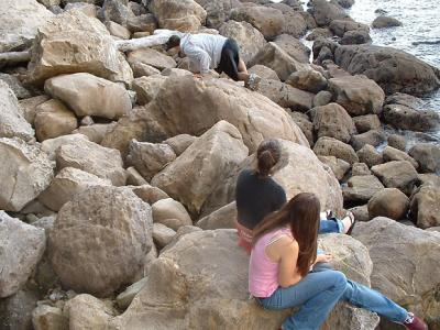 Gemstone Bay, Coramandel Peninsula