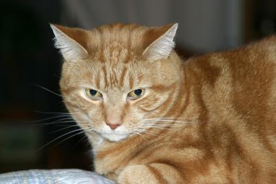 Leroy.jpg