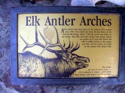 Elk Antler Arches explained