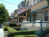 The Painted Ladies