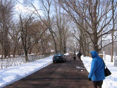 Lane To House