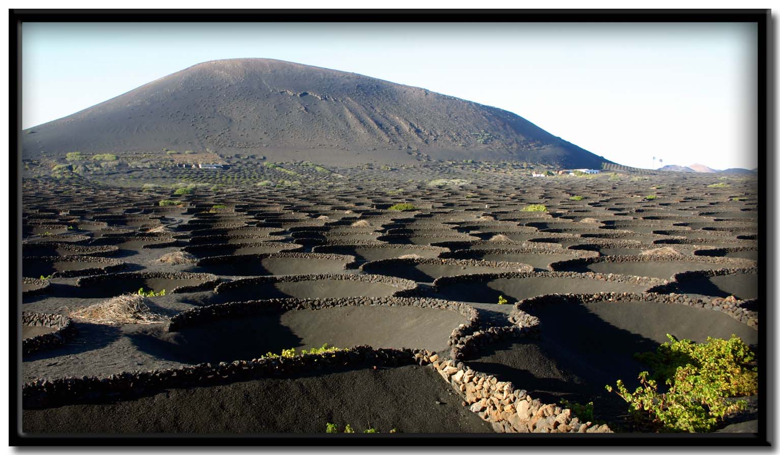 Lanzarote. La Geria.