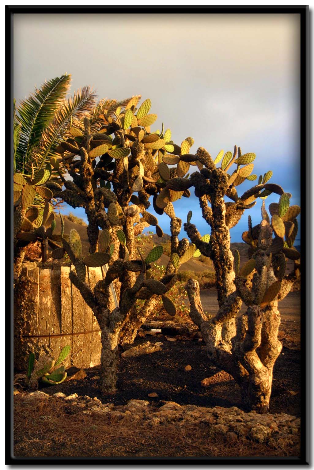 Lanzarote. Mirador del Rio.