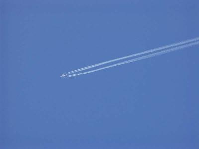 u40/elisa75/medium/26072896.plane.jpg