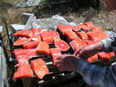 A feast of salmon
