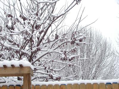 P2141555.JPG
