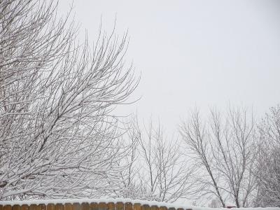 P2141557.JPG