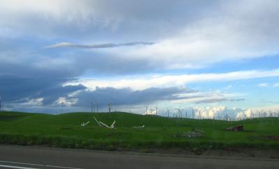 Energy windmills (looks like it was too windy!)