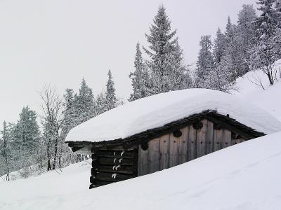 Hut in hibernation