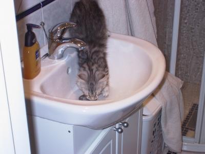 Washing his paws :-)