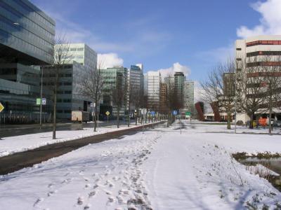 Hondsrugweg