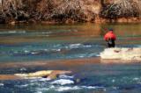 Fishin the Chattahoochee II