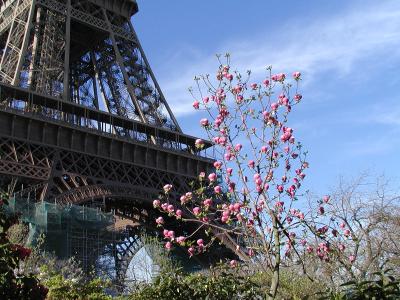 Paris Day 2 122.JPG