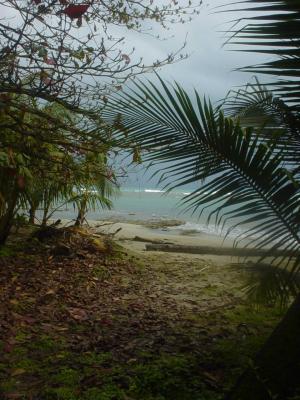 Manzanillo, CR