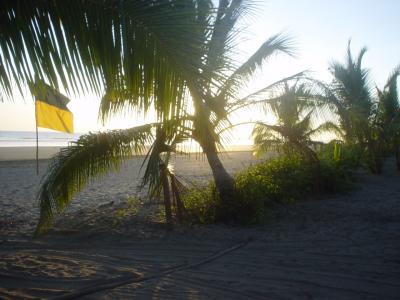 3 Palmeras camp outside Playa las Lajas