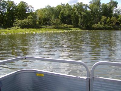 pontoon-boat13.JPG