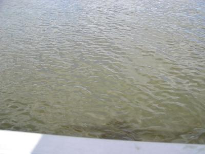 pontoon-boat14.JPG