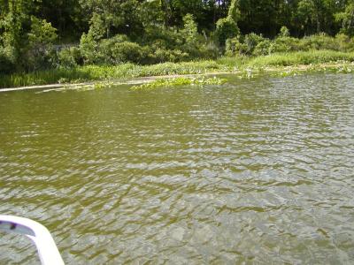 pontoon-boat15.JPG