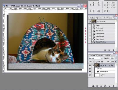 Make drop shadow around photo image