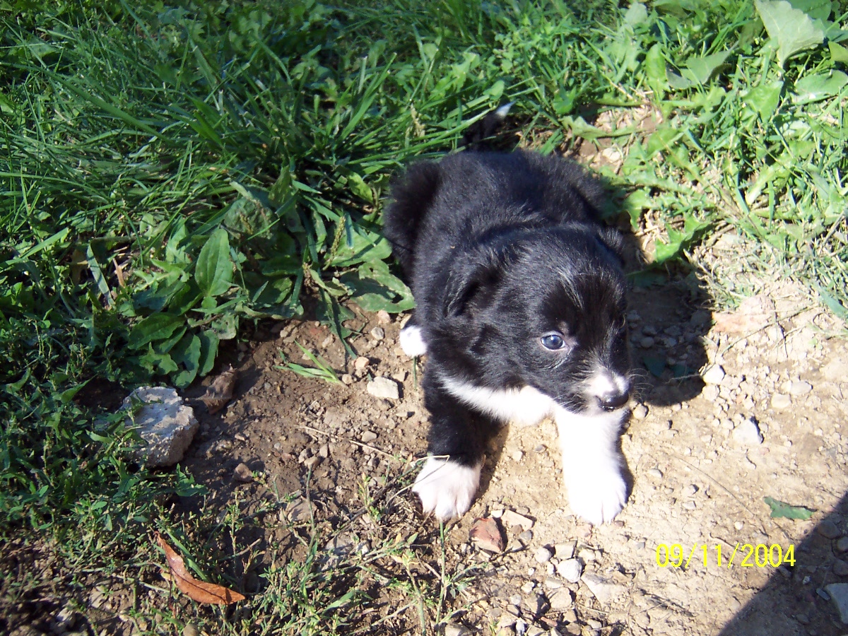 lucy at her farm 5 weeks
