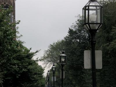 Gray Day on Comm Ave
