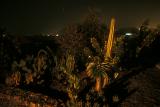 Garden of Casa El Hoyo by night