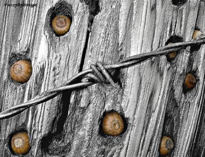 Woodpecker Pantry Post pencil merge