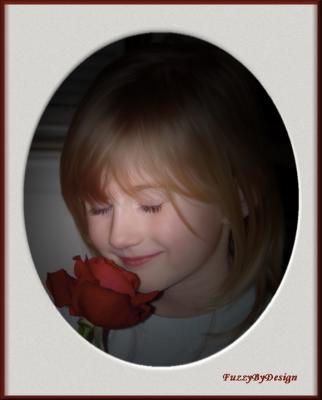 Scent of a Rose for Katie