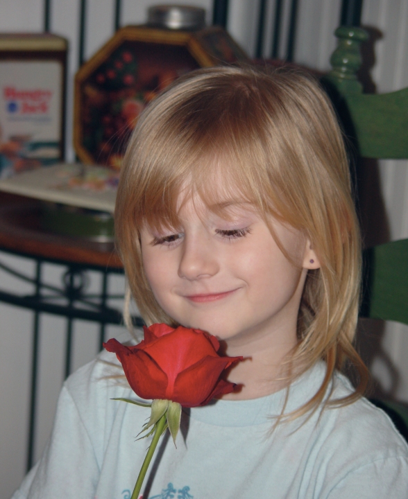 katie and rose original colors