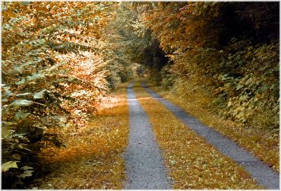 Road to nowhere