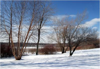 Winter