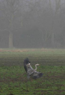 rough landing