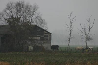 small barn (3)