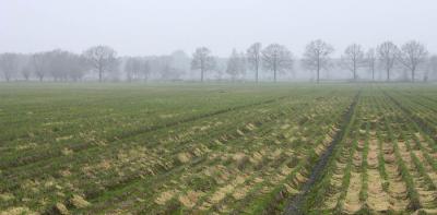 patterned countryside