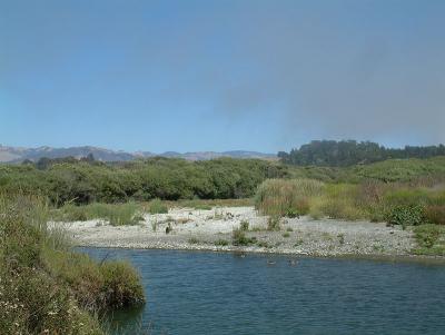 sansimeoncreek2.jpg
