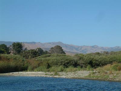 sansimeoncreek3.jpg